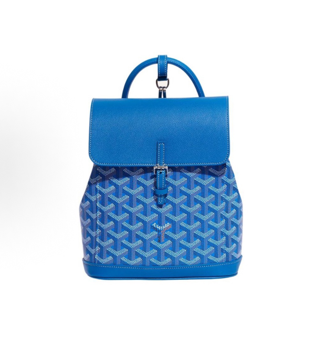  Goyard