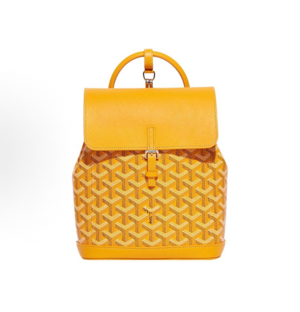  Goyard