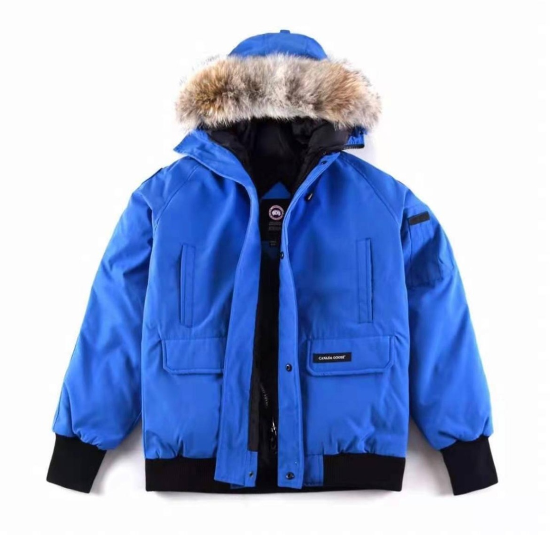  Canada Goose