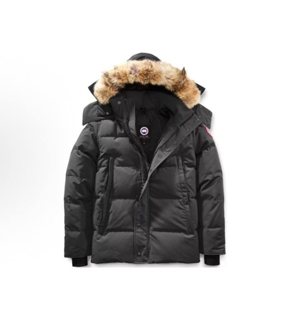  Canada Goose