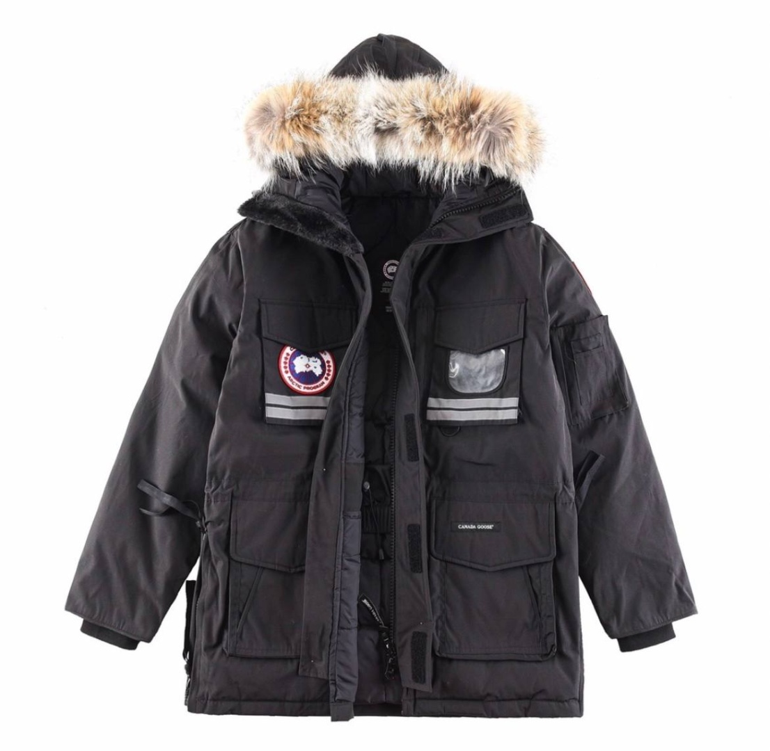  Canada Goose