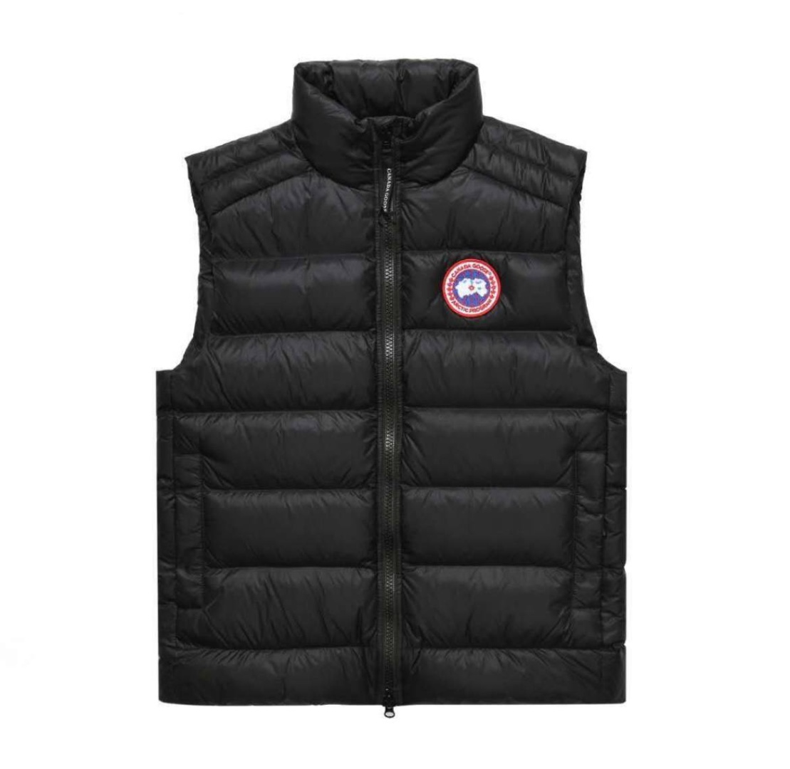  Canada Goose