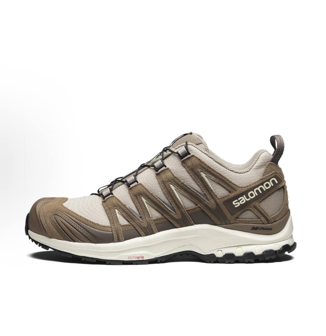  Salomon