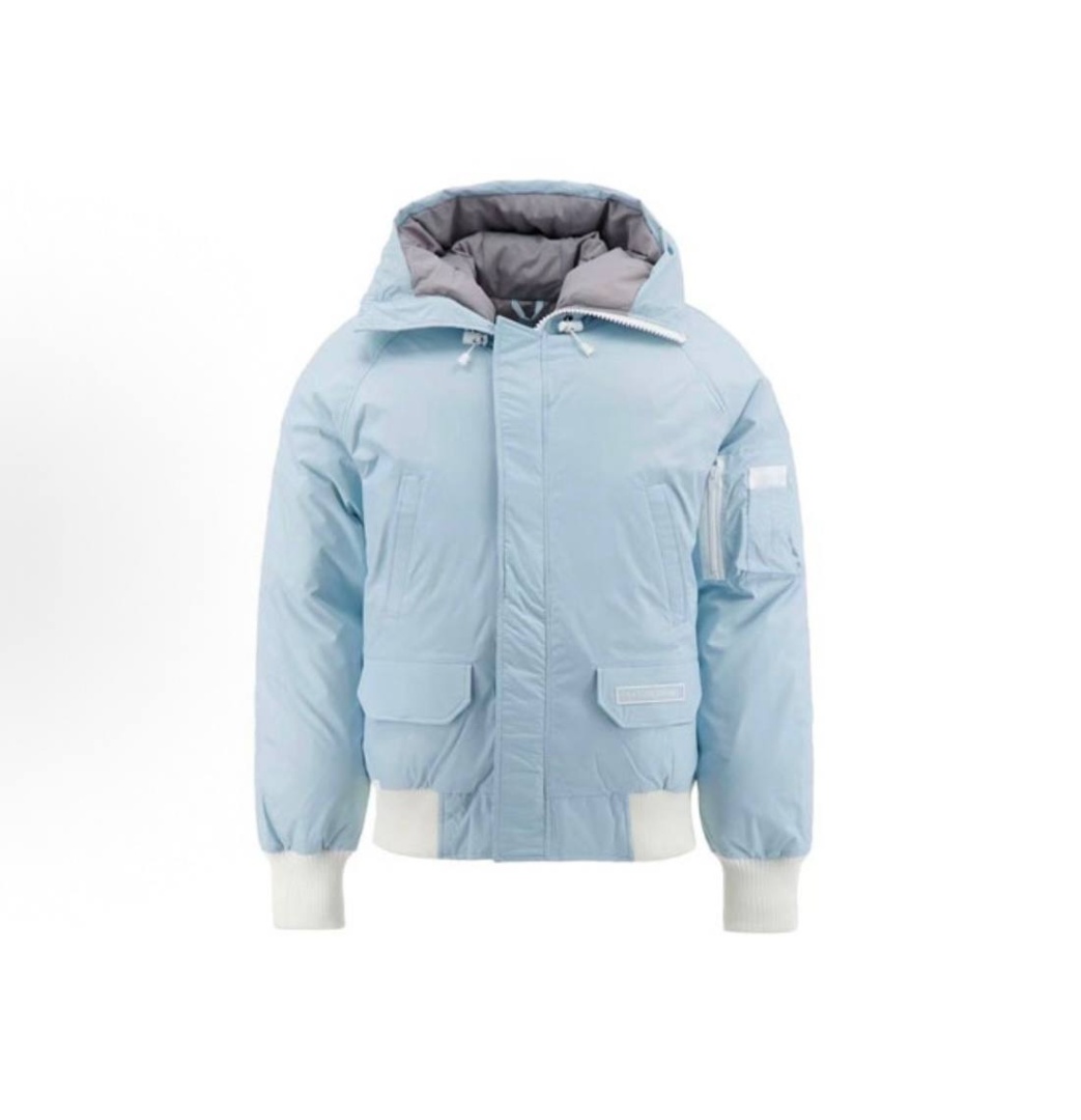  Canada Goose