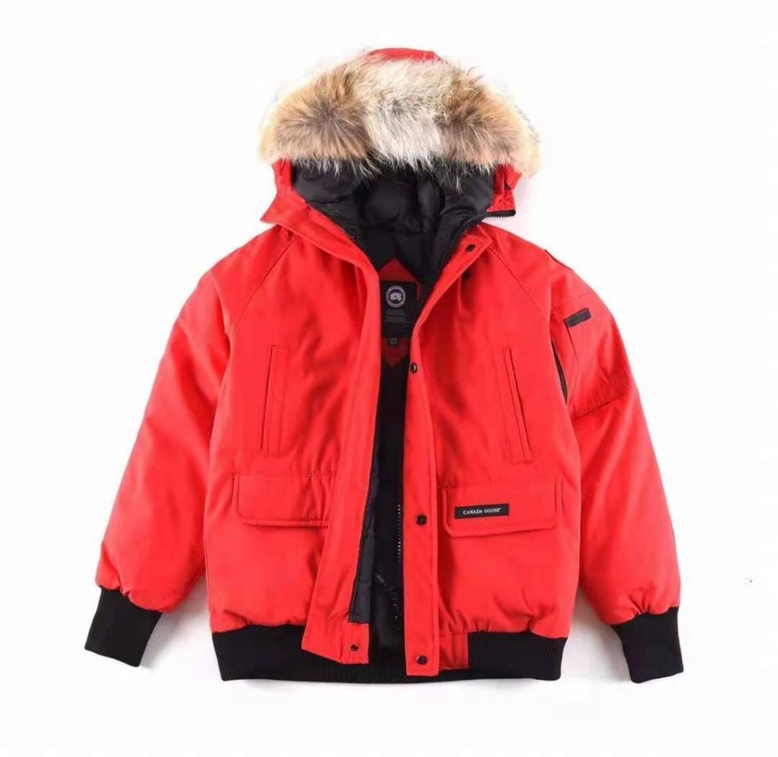  Canada Goose