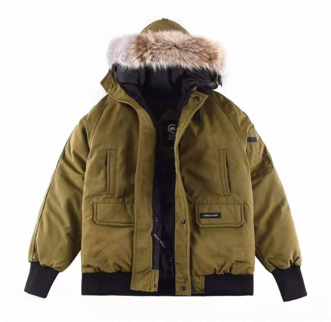  Canada Goose