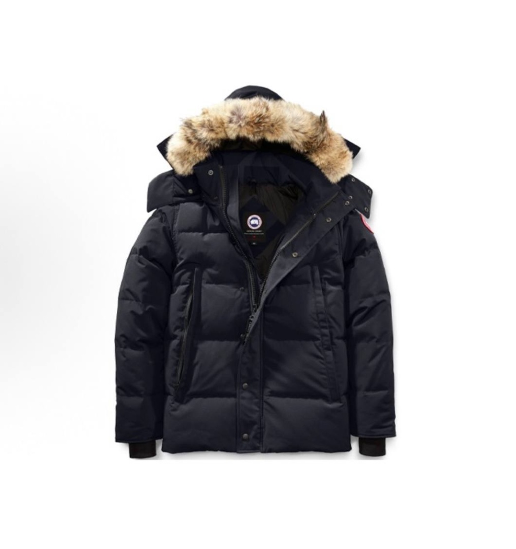  Canada Goose