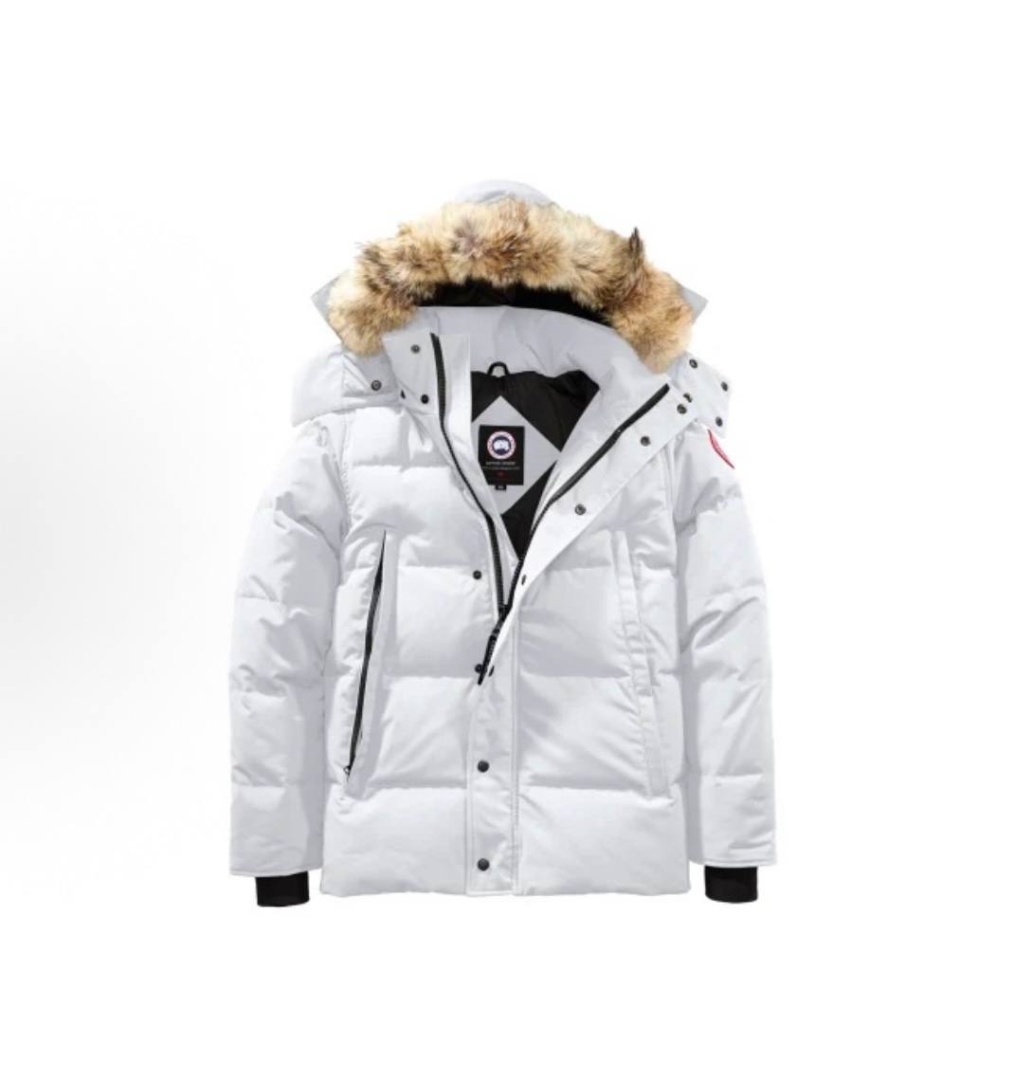  Canada Goose